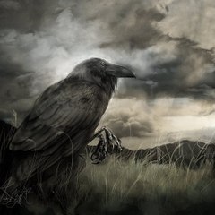 Raven Wolf