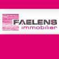 Faelens Immobilier