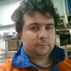 Ergin