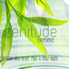 ZenitudeExperience
