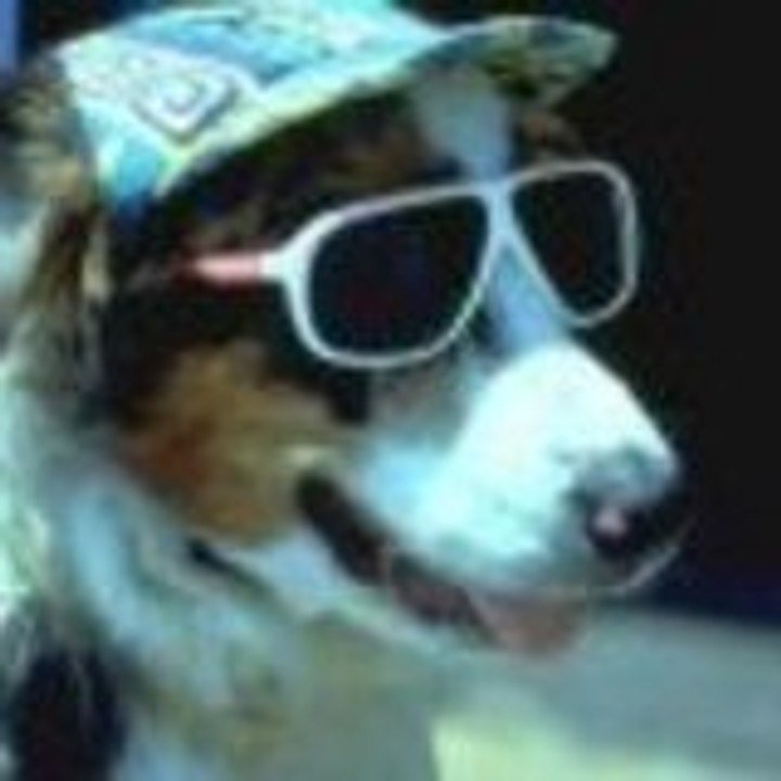Dailymotion profile picture for @franc