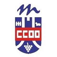 CCOO Ayuntamiento Majadahonda