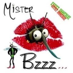 MisterBzzz