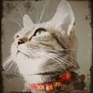Meephoo
