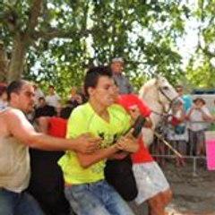 lougardinou