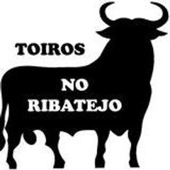 TOIROS NO RIBATEJO TOIROS