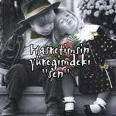 hasretimsin-