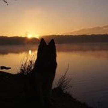 recherche-utilitaire RECHERCHE UTILITAIRE