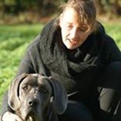 Sebaetcarine Simplementnous