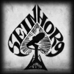 Seinhor9