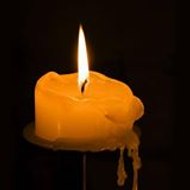 Habeshatoday Habesha