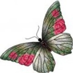 didemsalkim