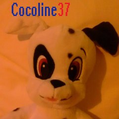 Cocoline37