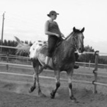 STANY