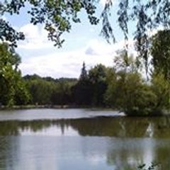 Michel Camping