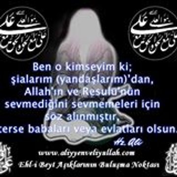 Aliyyenveliyullah Sitesi