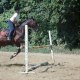 la-tite-ponette