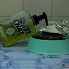 lebof77
