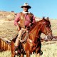 The Cowboy
