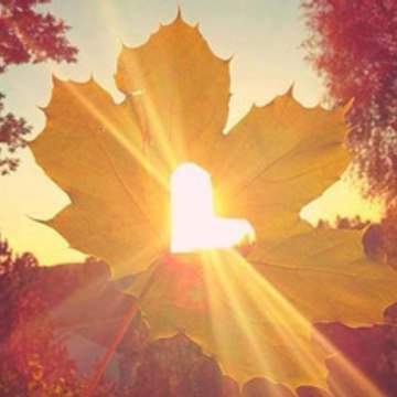 şarkılara sığınmak