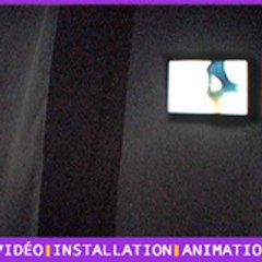 Marie-Laure Bruneau, Artiste plasticienne