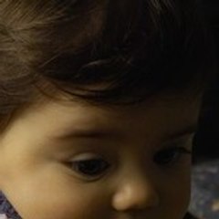 Carvalho Miguel