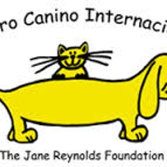 Adrian Garcia Trapero