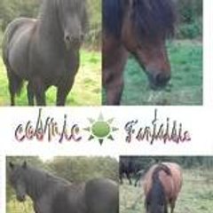 cosmicfantaisie