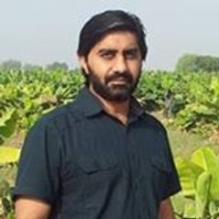 Abdul Wahab