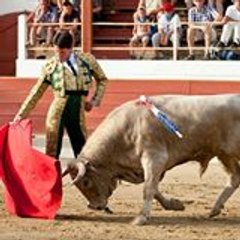 Kike Novillero
