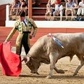 Kike Novillero