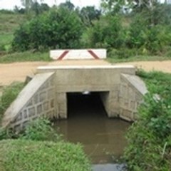 sribo sribos