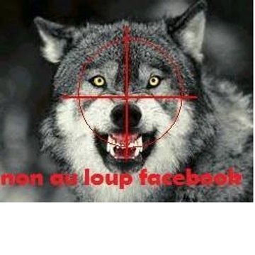 non au loup facebook