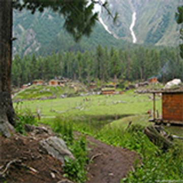 Mansoor Ali