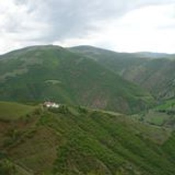TURNA AVAZI