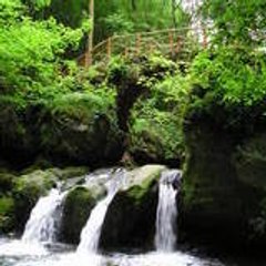Youven
