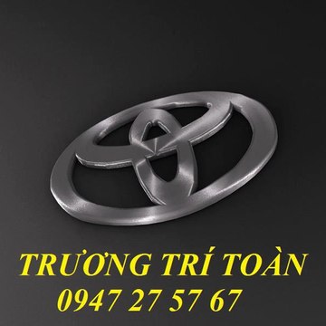 Tri Toan Truong