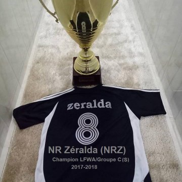 NRZ-NMZ-Zeralda 2011 plus
