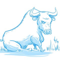 Blue Bull
