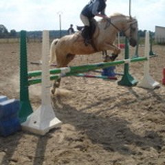 fisso