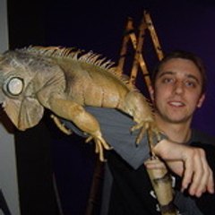 lioneltb