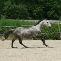 kelvindurocher