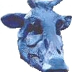 roustar55