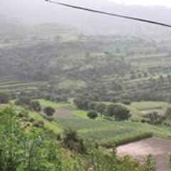 معلم انجليزي الحربي