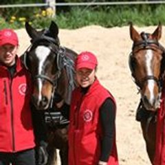 Franches Montagnes Bois Naison