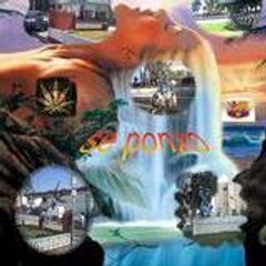 ponxo