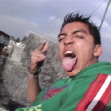 tochamon