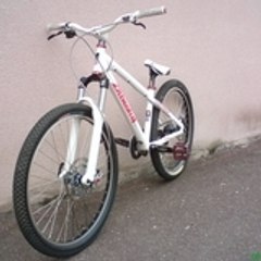 benabsolut