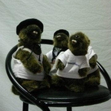 Association Marmottux