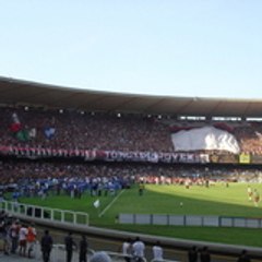 tolosa31